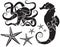 Sea Theme: Seahorse Octopus Starfish