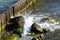 Sea tidal bore. Waves break on stones overgrown by moss and algae. Beautiful seascape