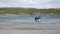 Sea tractor meets ferry South Sands beach Salcombe Devon south west England UK