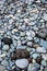 Sea tumbled round rocks on a beach with a few volcanic rocks mixed in, as a nature background