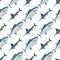 Sea tuna fish animal nature food seamless pattern ecology shark environment tropical natural thunnus vector illustration