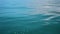 Sea Turquoise  water  sea  turquoise