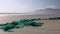 Sea turtle caught in fishing net, Costa Rica, Central America