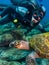 Sea Turtle close to scuba diver