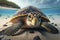 Sea turtle close-up. Generative AI