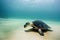 Sea turtle crawling on white sandy bottom undersea.