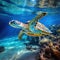 Sea turtle in crystal clear blue water