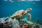 Sea Turtle Entangled: Stark Reminder of Marine Plastic Pollution