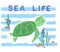 Sea turtle illustration sea summer kids print design with slogan Sea Life vector