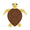 Sea turtle isolated on a white background. Symbol of wild life of endangered animal species. Vector flat cartoon