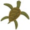 Sea turtle life cycle stage. Wild underwater animal. Cartoon cute ocean tortoise. Development adult animal on white