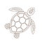 Sea turtle line icon