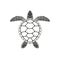 Sea turtle logo. Isolated turtle on white background. Reptile