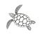 Sea turtle outline. Isolated turtle on white background. Reptile