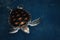 Sea turtle in pool