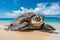 Sea turtle rests on a sandy beach near a tranquil body of water, AI-generated.