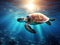 Sea Turtle silhouette with sunburst