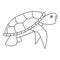 sea turtle. Single line aquatic water park