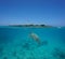 Sea turtle split Amedee island New Caledonia