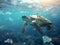 Sea Turtle Swimming Amidst Pollution