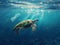 Sea Turtle Swimming Amidst Pollution