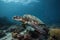 sea turtle swimming amongst scuba divers and snorkelers