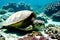 a sea turtle swimming in a coral reef generated by ai