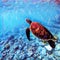 Sea turtle swimming underwater. Bright digital illustration of tropical nature