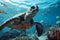 A sea turtle swims over a group of corals