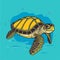 Sea Turtle Turquoise Oceanlife Cartoon Vector Art