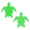 Sea turtle. Turtle silhouette. Vector icon isolated on white