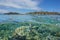 Sea turtle underwater Canard islet New Caledonia