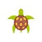 Sea turtle vector illustration in cartoon style. Terrapins icon isolated. Ocean animal.