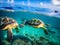Sea Turtles Playing in the Ocean\\\'s Coral Reef