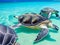 Sea Turtles Playing in the Ocean\\\'s Coral Reef