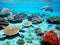 Sea Turtles Playing in the Ocean\\\'s Coral Reef