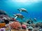 Sea Turtles Playing in the Ocean\\\'s Coral Reef