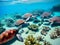 Sea Turtles Playing in the Ocean\\\'s Coral Reef