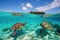sea turtles swimming in crystal-clear water