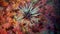 Sea urchin on a bright multi-colored bottom underwater of ocean on Galapagos.