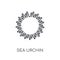 Sea urchin linear icon. Modern outline Sea urchin logo concept o