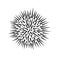 Sea urchin logo. Isolated sea urchin on white background
