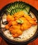 Sea urchin rice