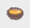 Sea Urchin Vector Flat Design Illustration