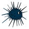 Sea urchin. Vector illustration in cartoon style. Can be used as stickers, decals, to decorate children`s rooms. Isolated on whit