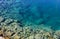 Sea urchins on the rocky beach in the Mediterranean