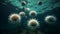 Sea urchins underwater in the Atlantic ocean (purple sea urchin Paracentrotus lividus) Generative AI