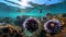 Sea urchins underwater in the Atlantic ocean (purple sea urchin Paracentrotus lividus) Generative AI