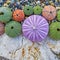 Sea urchins on white rock and pebbles beach