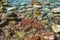 The sea view. Beautiful view from the mountain to the calm Adriatic sea. Blue clear water and large stones.